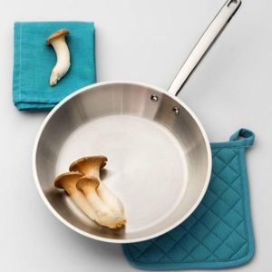 COPY - * Brand new * stainless steel skillet 10"